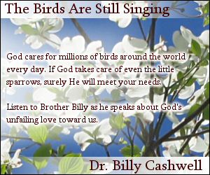 The Birds are Still Singing - mp3